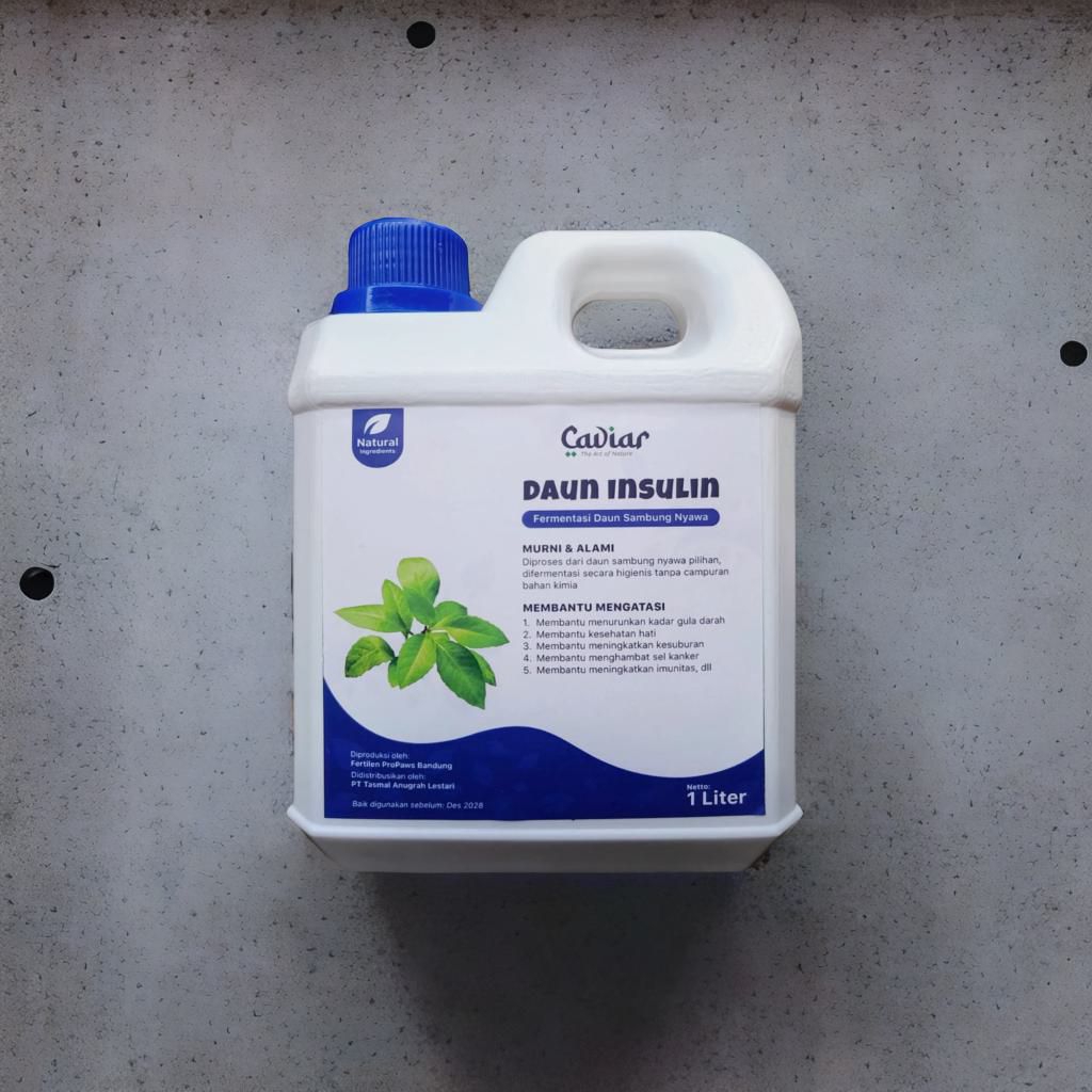 

Permentasi Daun Insulin sambung nyawa obat diabetes