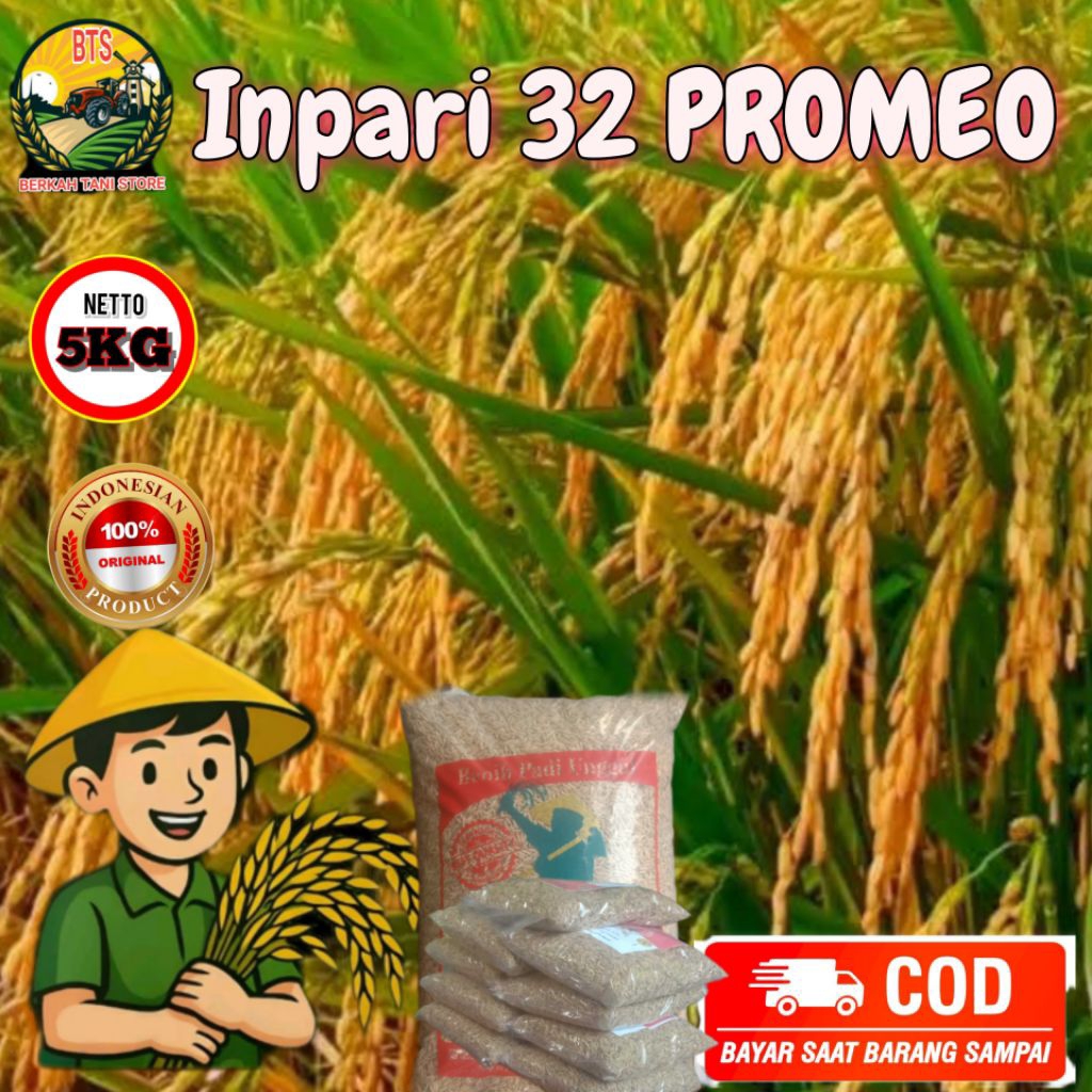 BENIH PADI INPARI 32 PROMEO KEMASAN 5KG KUALITAS UNGGUL