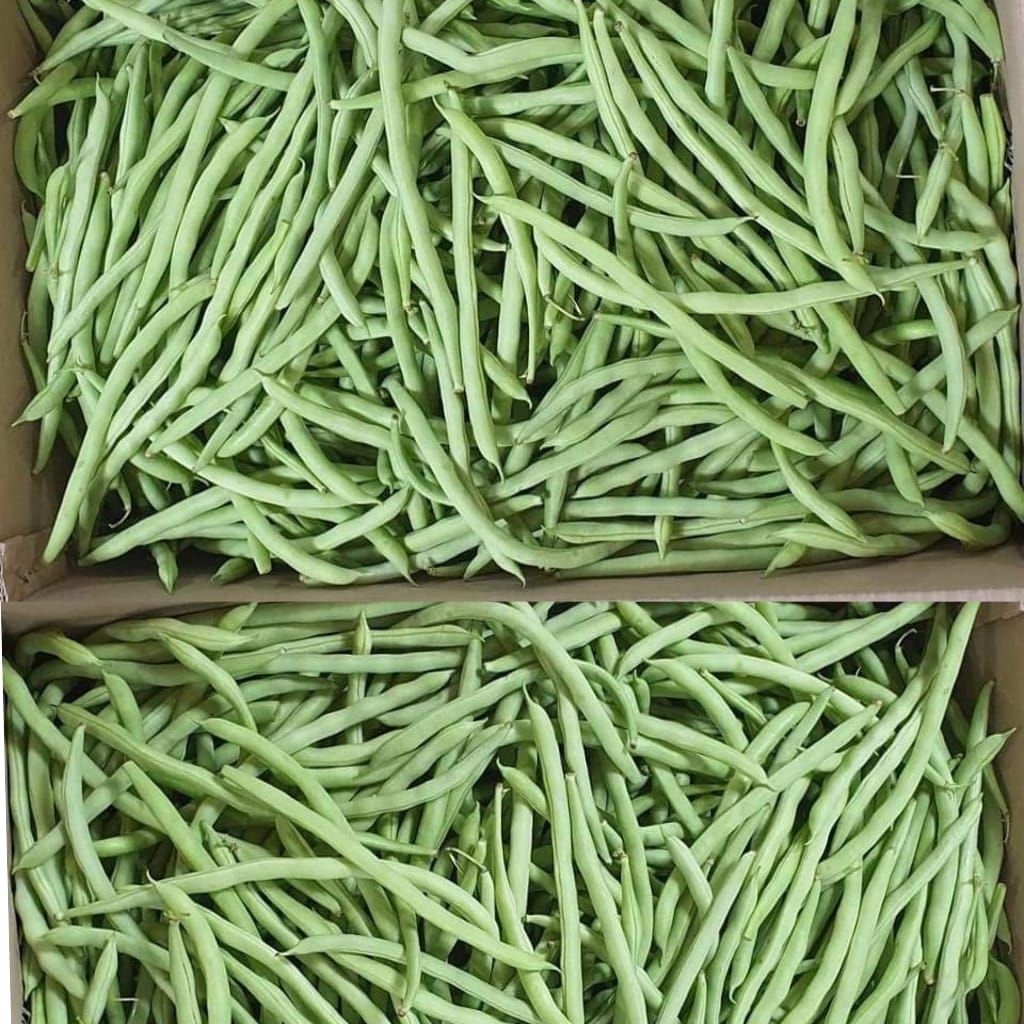 

PROMOO, sayur kacang buncis/ucet lokal 500gr/setengah kg - green beans fresh 500gr