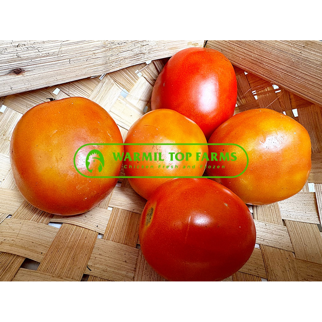 

Tomat Merah 250gr Sayur Segar