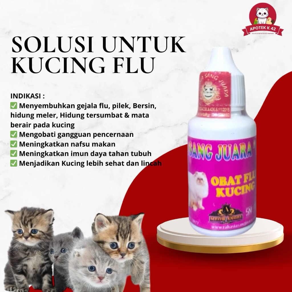 vitamin flu untuk kucing
