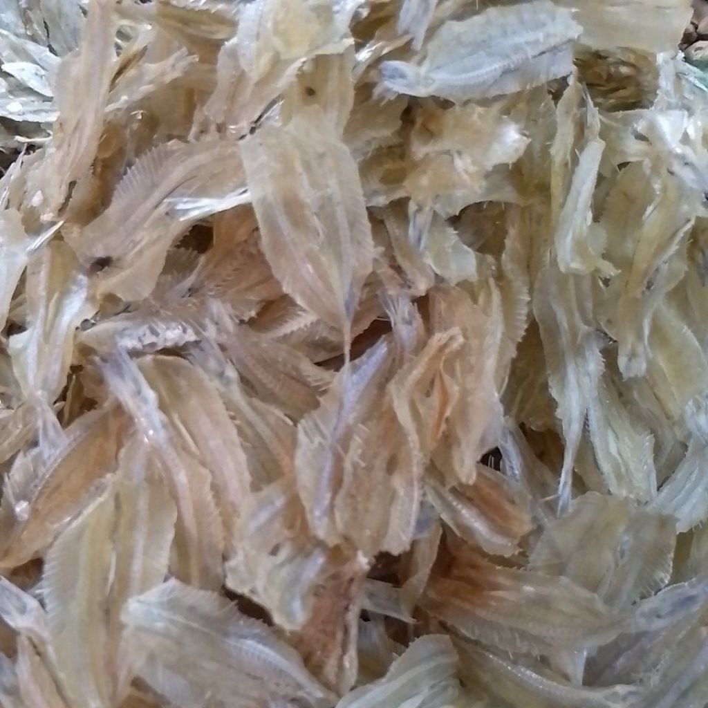 

Ikan Rampai tawar kualitas super