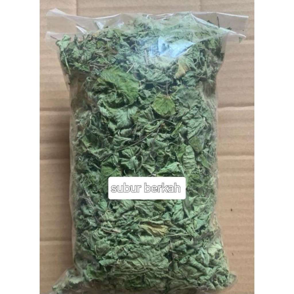 

Daun pegagan kering berkualitas tanpa batang 70 gram