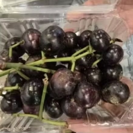 

Buah rujak gowok | buah kipa manis segar 500grm