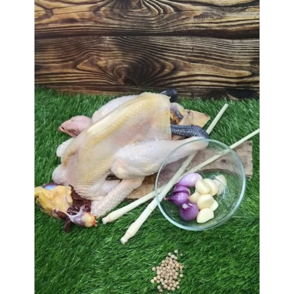 

Ayam kampung asli fresf.berat 600 - 700