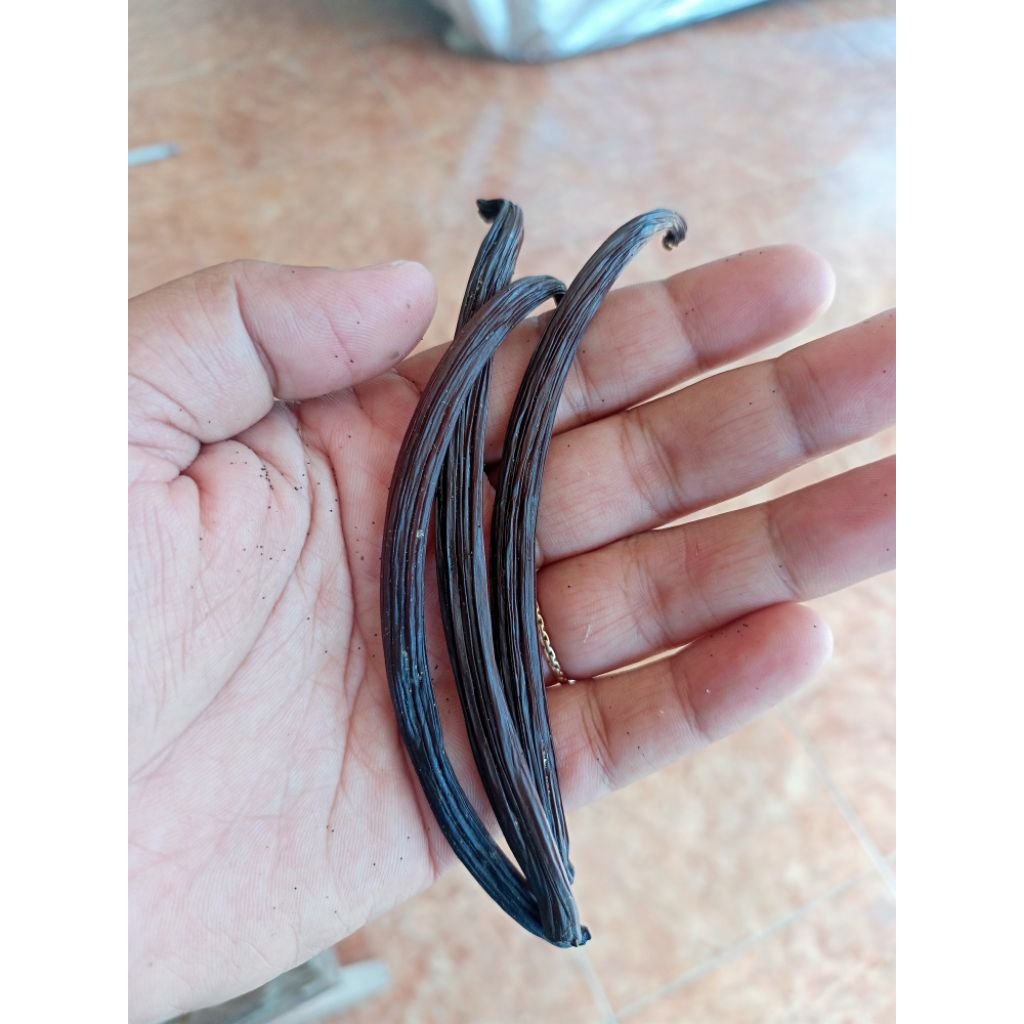 

VANIL/VANILA KERING 12-13CM