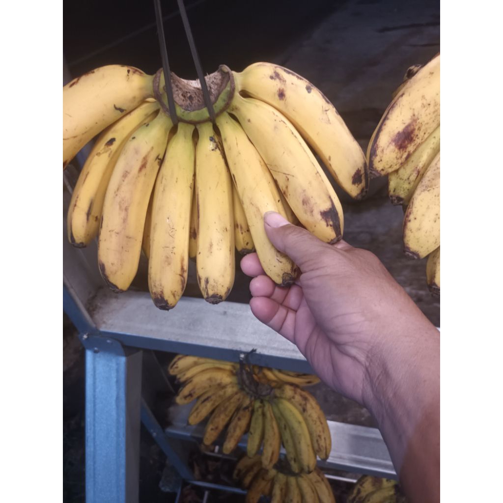 

pisang barangan