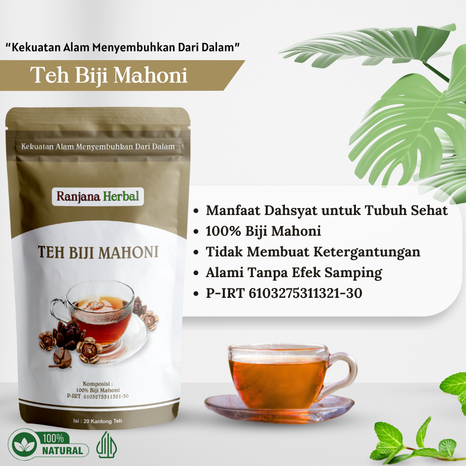 

Ranjana Herbal Teh Biji Mahoni Solusi Diabetes Hipertensi Kencing Manis Darah Tinggi Diabet Kolesterol Kanker Infeksi