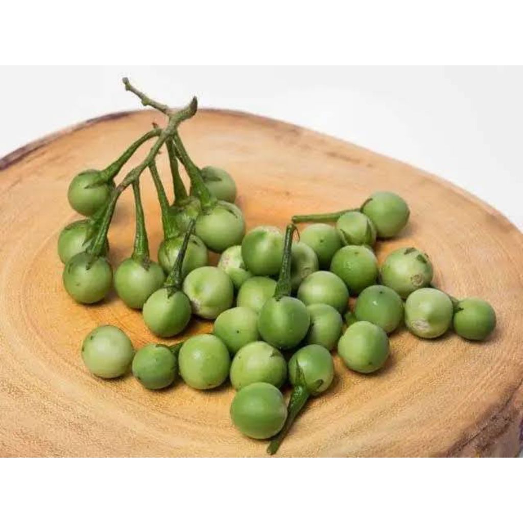 

Rimbang Segar 100 gr (Sayuran Segar)