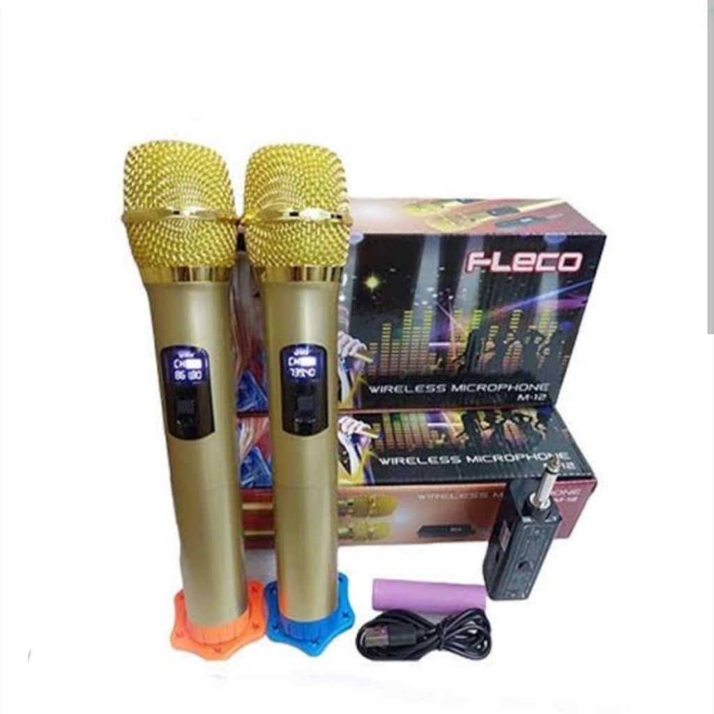 mic wireless fleco M12 double mic handle mic tanpa kabel fleco M 12 mic serbaguna recharge transmitt