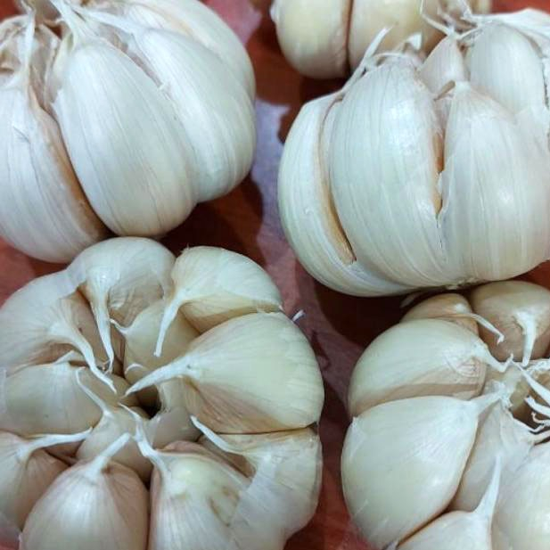 

Bawang Putih Honan 500 Gram Campur | Bawang Putih Biasa Bersih 1/2 KG | Hania