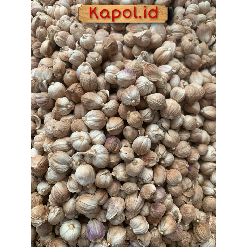 

GROSIR Kapulaga Kering Kualitas Pilihan Sudah Blower ( standar export )