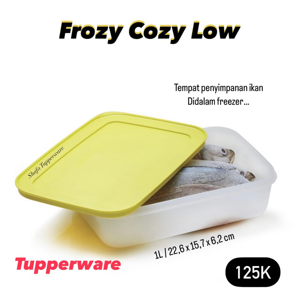 frozy Cozy Tupperware