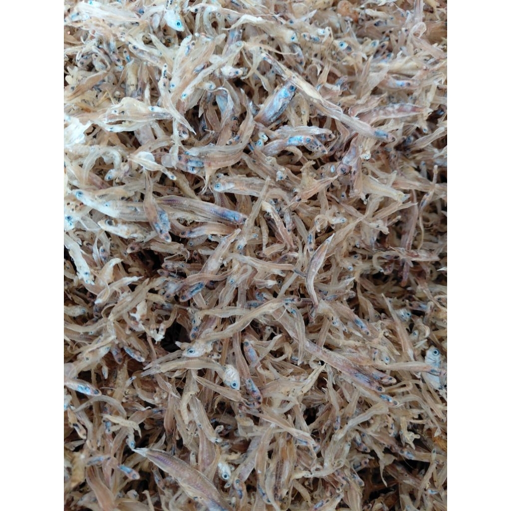 

Teri Ndolo Tawar Teri Jenggot Kecil Kering Termurah 500Grm