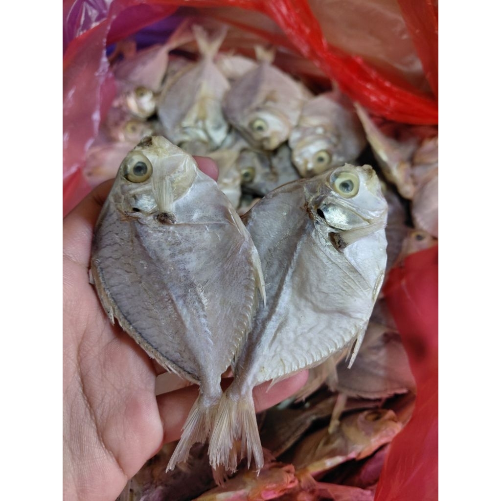 

1KG Ikan Asin Petek Ikan Asin Dokdok Gurih