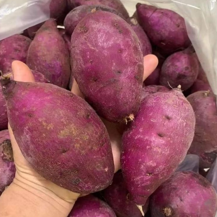 

UBI UNGGU MENTAH 1kg