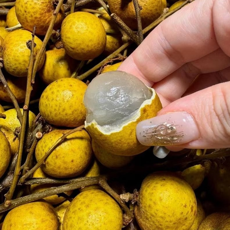 

KELENGKENG BANGKOK TANPA RANTING 1kg