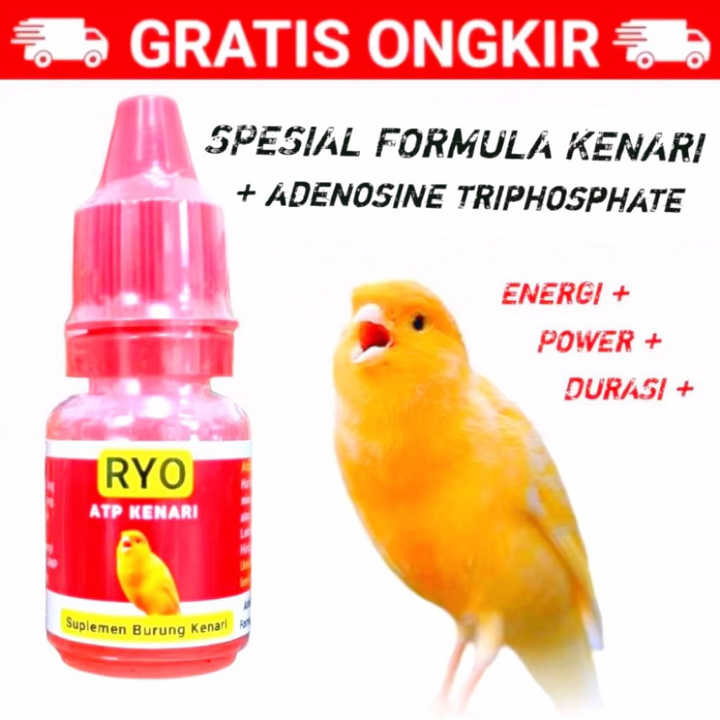 ATP kenari menambah energi durasi dan power