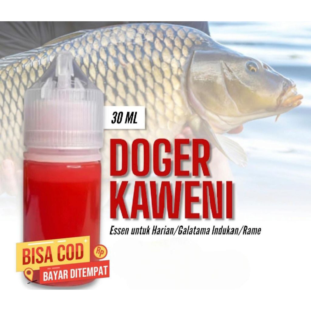 ESSEN OPLOSAN IKAN MAS AROMA DOGER KAWENI