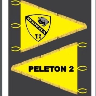 BENDERA PATAKA SEGITIGA 2 SISI CUSTOM SABLON BAHAN BLUDRU