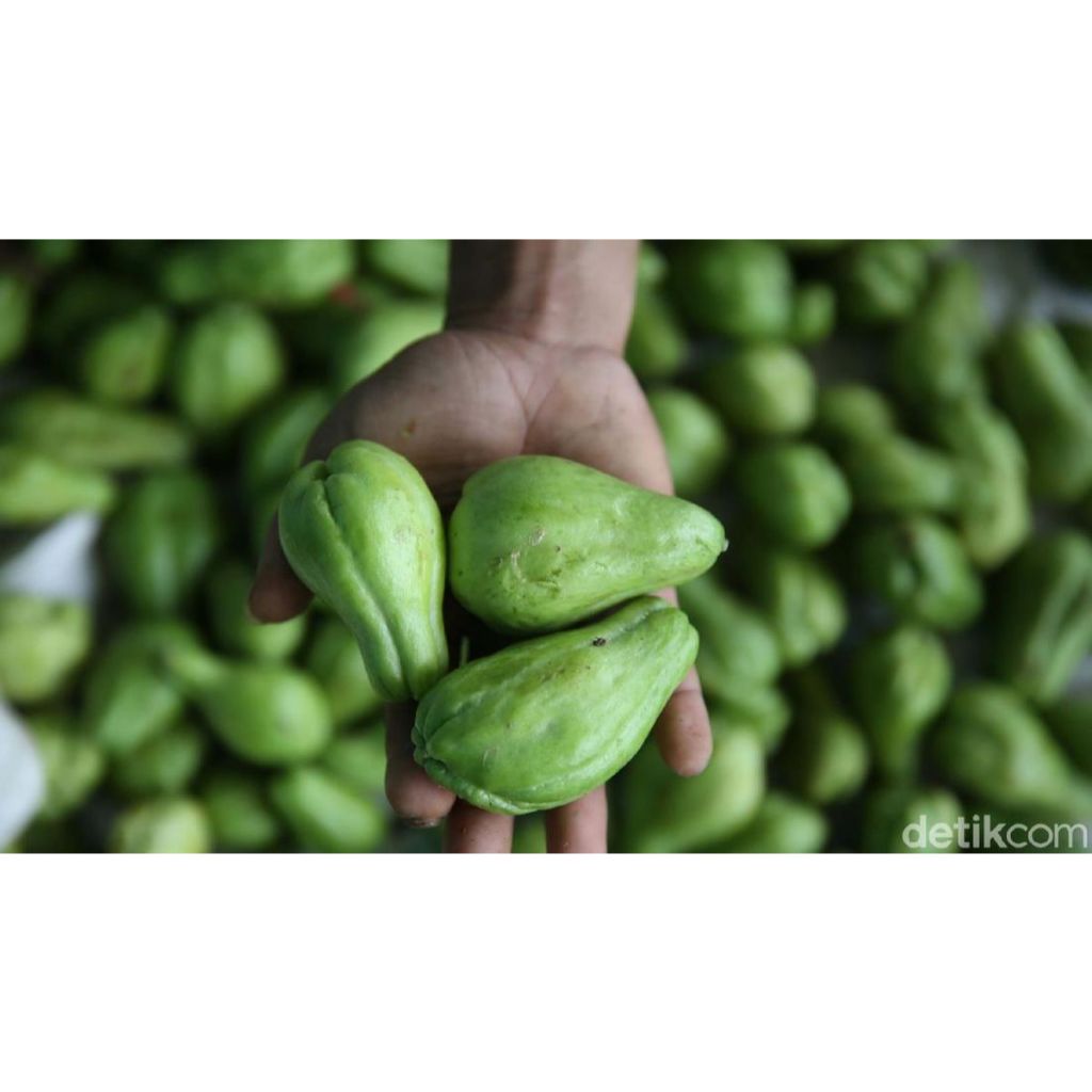 

labu siam gamas sayuran 1 kg di petik saat di pesan