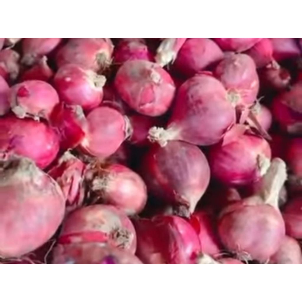 

Bawang Merah Super 1kg