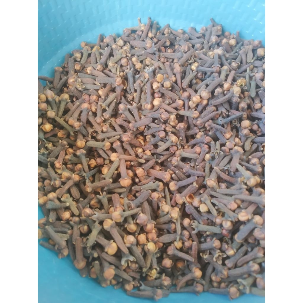 

Cengkeh KERING 500gr Original_Asli dari PETANI