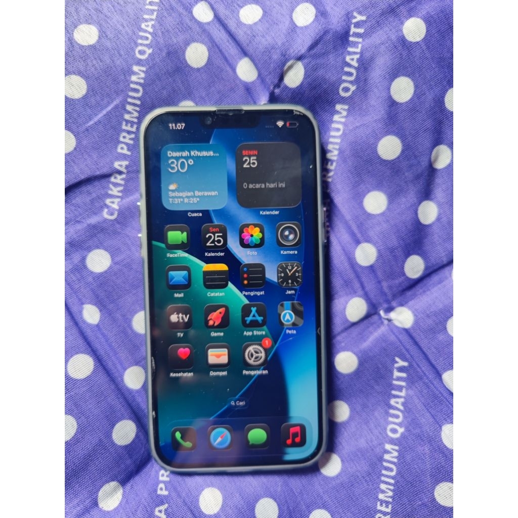 iPhone 13 pro max wifi only