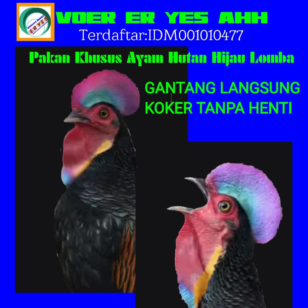 ER YES AHH VOER AYAM HUTAN HIJAU SEHAT RAJIN KOKER   Terdaftar: IDM001010477
