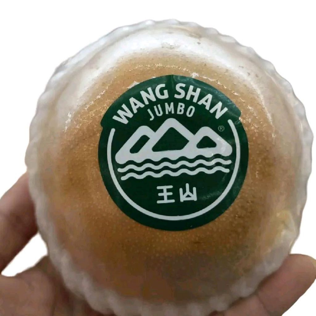 

Buah pear wang Shan jumbo premium manis 1 kg