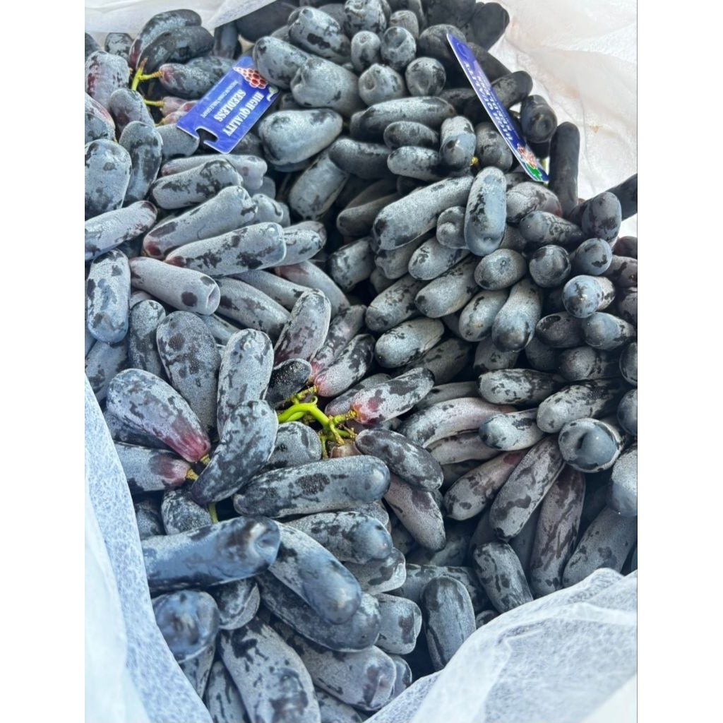 

Anggur Jari Sweet Saphire China 8 kg