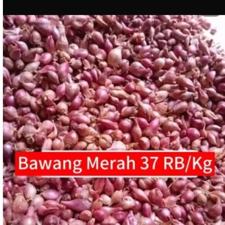 

Bawang Merah/Putih Lokasi Lampung