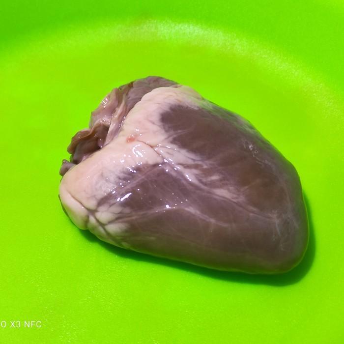 

Jantung Kambing utuh 1 Kilogram