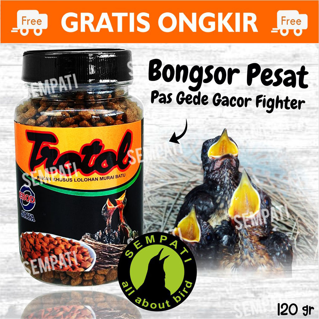 SEMPATI PAKAN LOLOH BURUNG MURAI BATU TROTOL PREMIUM EBOD JAYA TOPLES PAKAN LOLOHAN PIYIK BURUNG MUR
