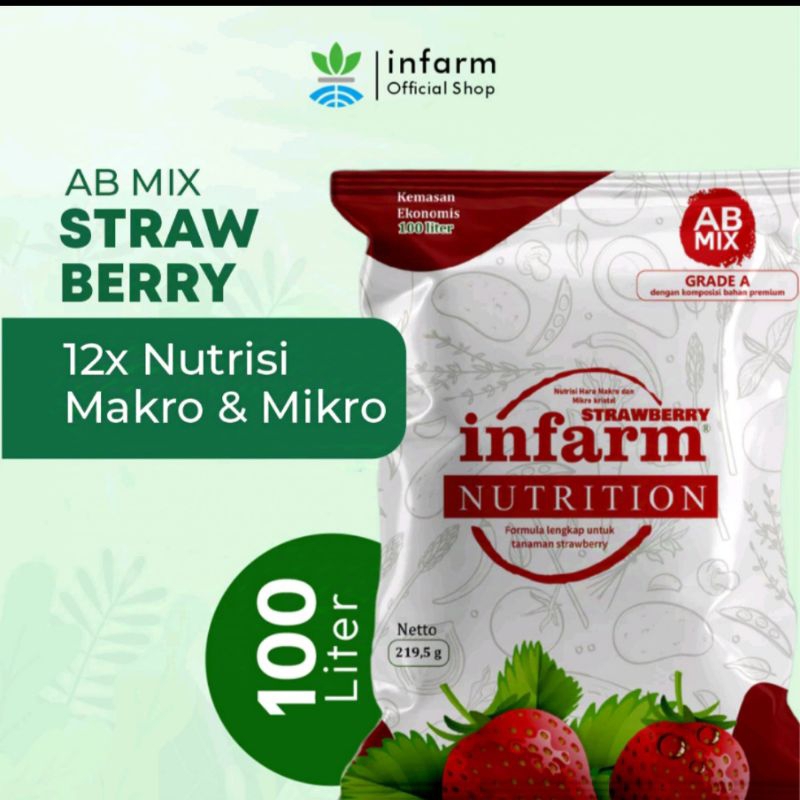INFARM Pontianak Nutrisi Hidroponik AB mix Strawberry 100L