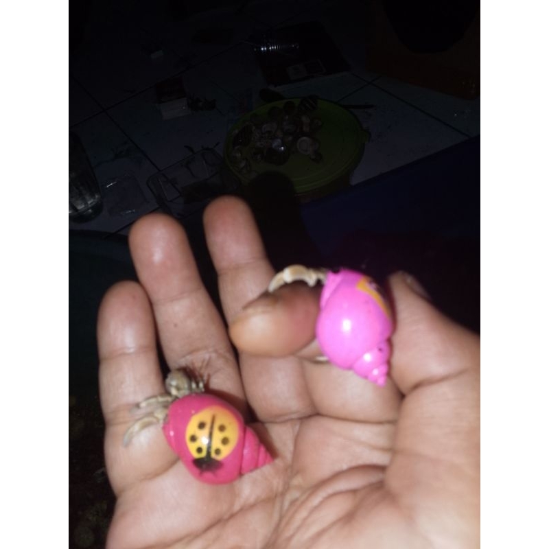 Kelomang warna satuan