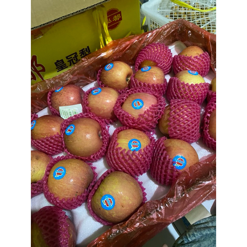 

Apel Fuji size 100 berat 17kg