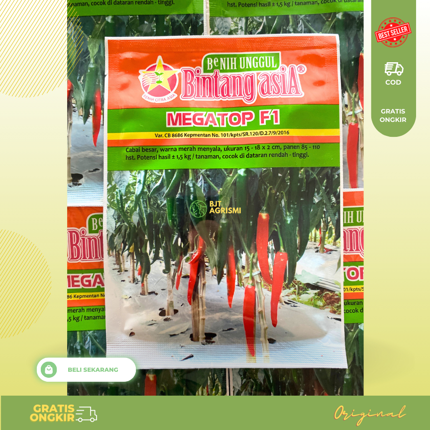 MEGATOP F1 10gr Benih Cabai Cabe Besar 100% Original Bintang Asia Darmais-Pilar-Landung F1
