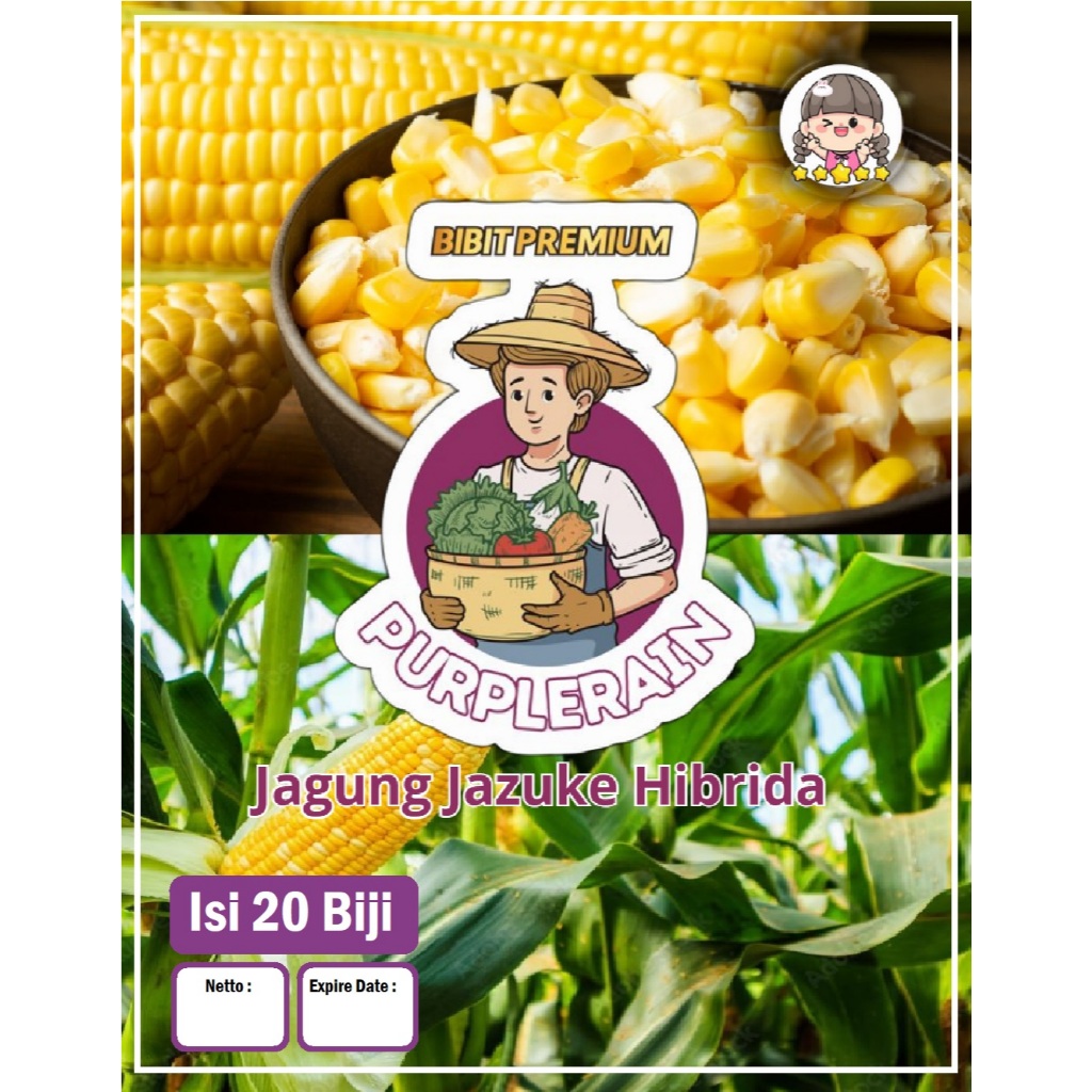 Bibit Premium Jagung Jazuke Hibrida | Benih Jagung Jazuke Hibrida |Jagung