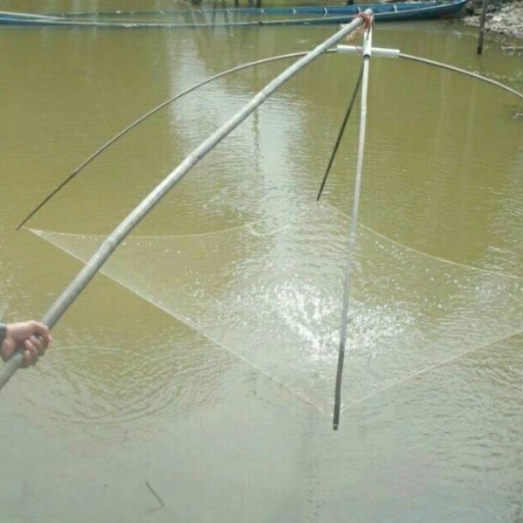 Special Limited Jaring tangkul ikan ukuran 15 meter persegi jaring anco perangkap ikan