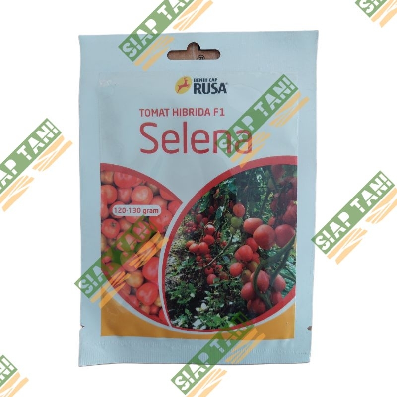 BENIH TOMAT SELENA 10 GR