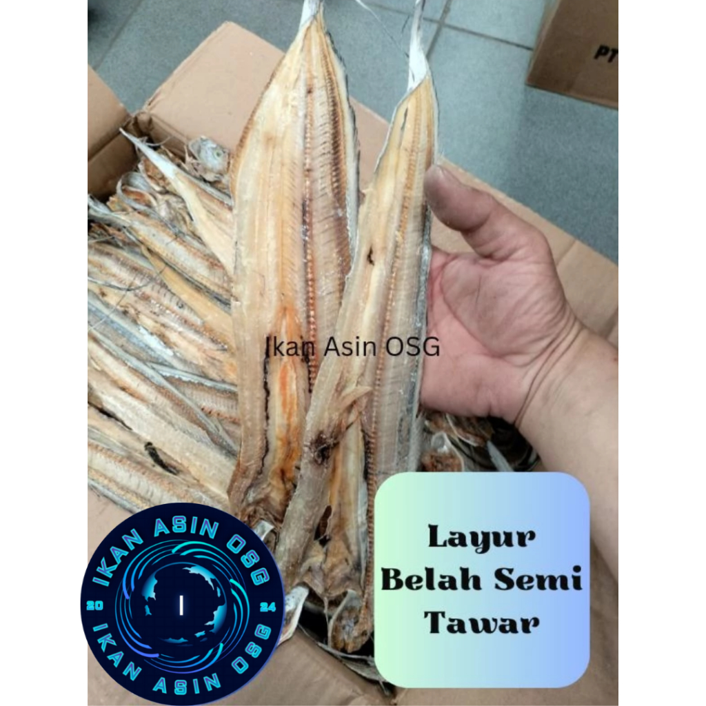 

LAYUR BELAH SEMI TAWAR