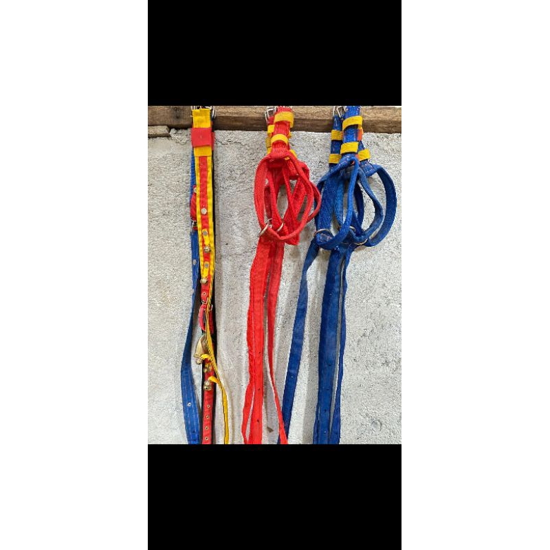 Head Halter Sapi, brangus sapi, pelindung sapi
