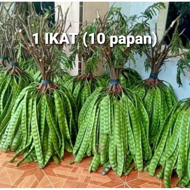 

Pete segar 1 ikat= 10 papan.