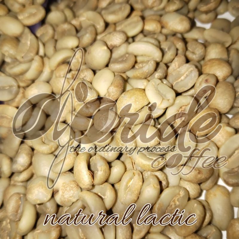 

Biji Kopi Arabica/Greenbean Arabica Natural Lactic Specialty 1kg