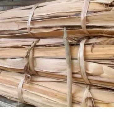 

pelepah pisang kering ukuran 1meter / pelepah pisang kepok tebal/ bahan kerajinan / Batang pisang kering untuk prakarya anak sekolah