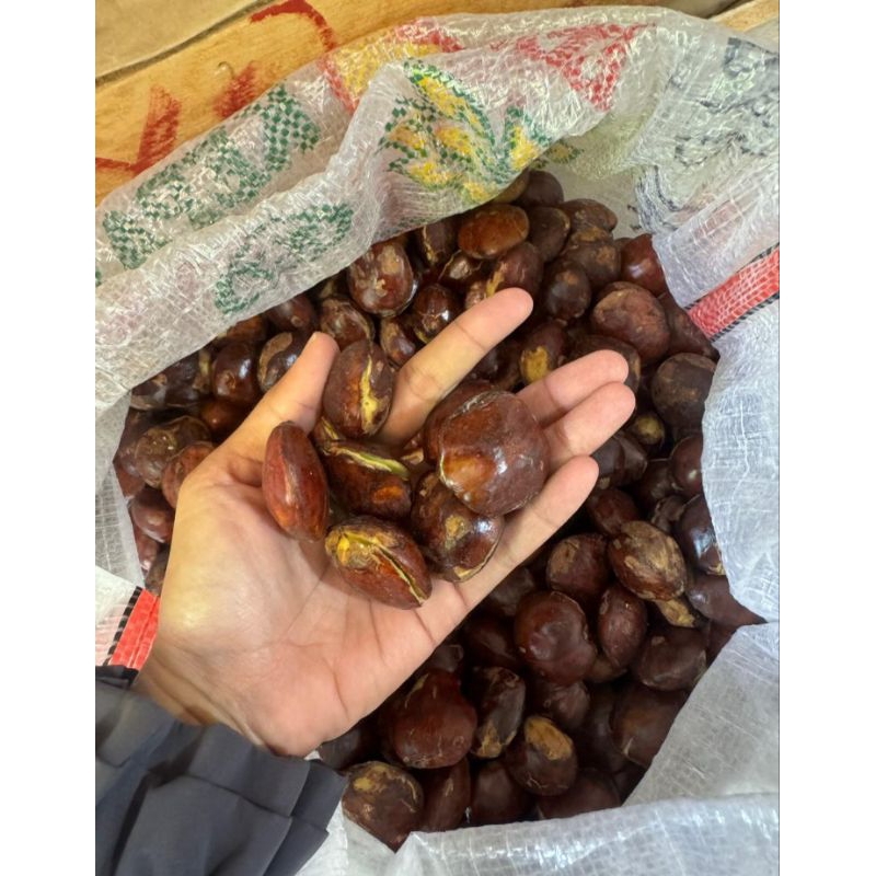 

JENGKOL TUA TUA GRES PULEN 1KG YUK DI CO