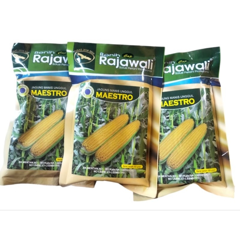 

jagung manis