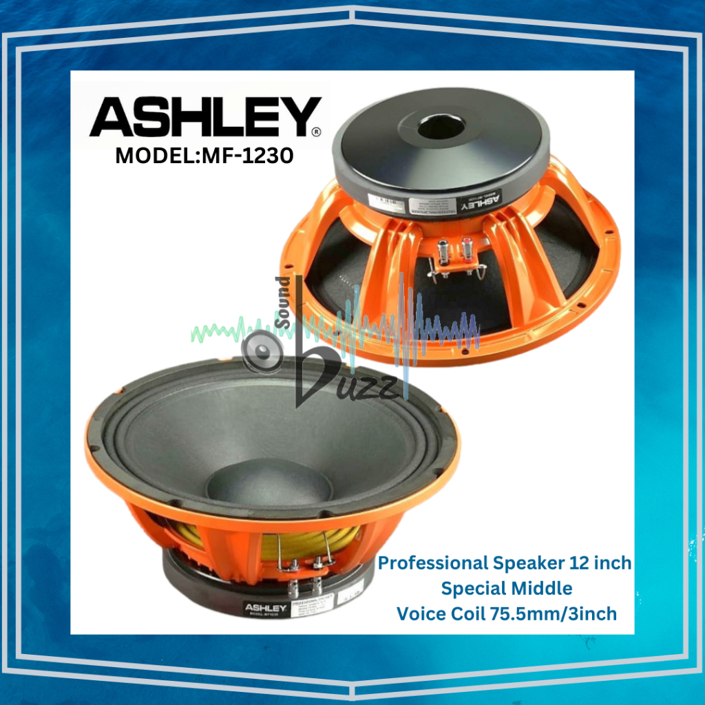 Speaker ASHLEY MF 1230 Professional Speaker 12 inch ASHLEY MF1230 Special Middle