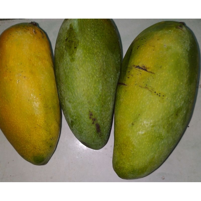 

Mangga Golek 1kg